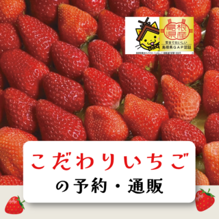 こだわりいちごの予約・通販
