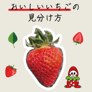 いちご狩りでおいしいいちごを見分ける方法