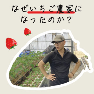 なぜいちご農家になったのか？