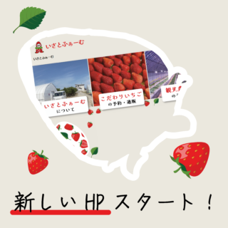 新しいHPスタート！