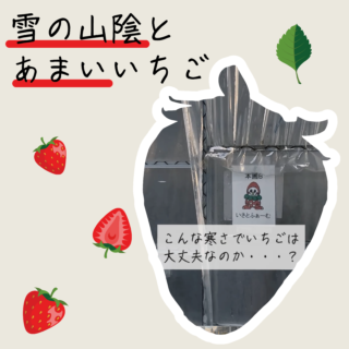 雪の山陰とあまいいちご