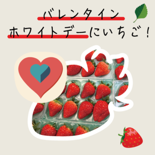 バレンタインやホワイトデーに希少ないちご！