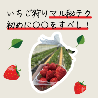 いちご狩りマル秘テク　初めに〇〇をすべし！