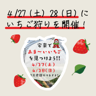 4/27（土）・28（日）いちご狩りイベントを開催します！