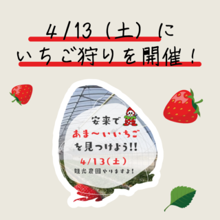 4/13（土）いちご狩りイベントを開催します！