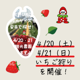 4/20（土）・21（日）いちご狩りイベントを開催します！