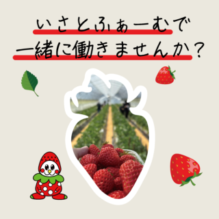 「いさとふぁーむ」で一緒に働きませんか？🍓