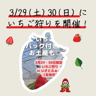 3月29日・30日に特別開催！島根県安来市でいちご狩り体験！
