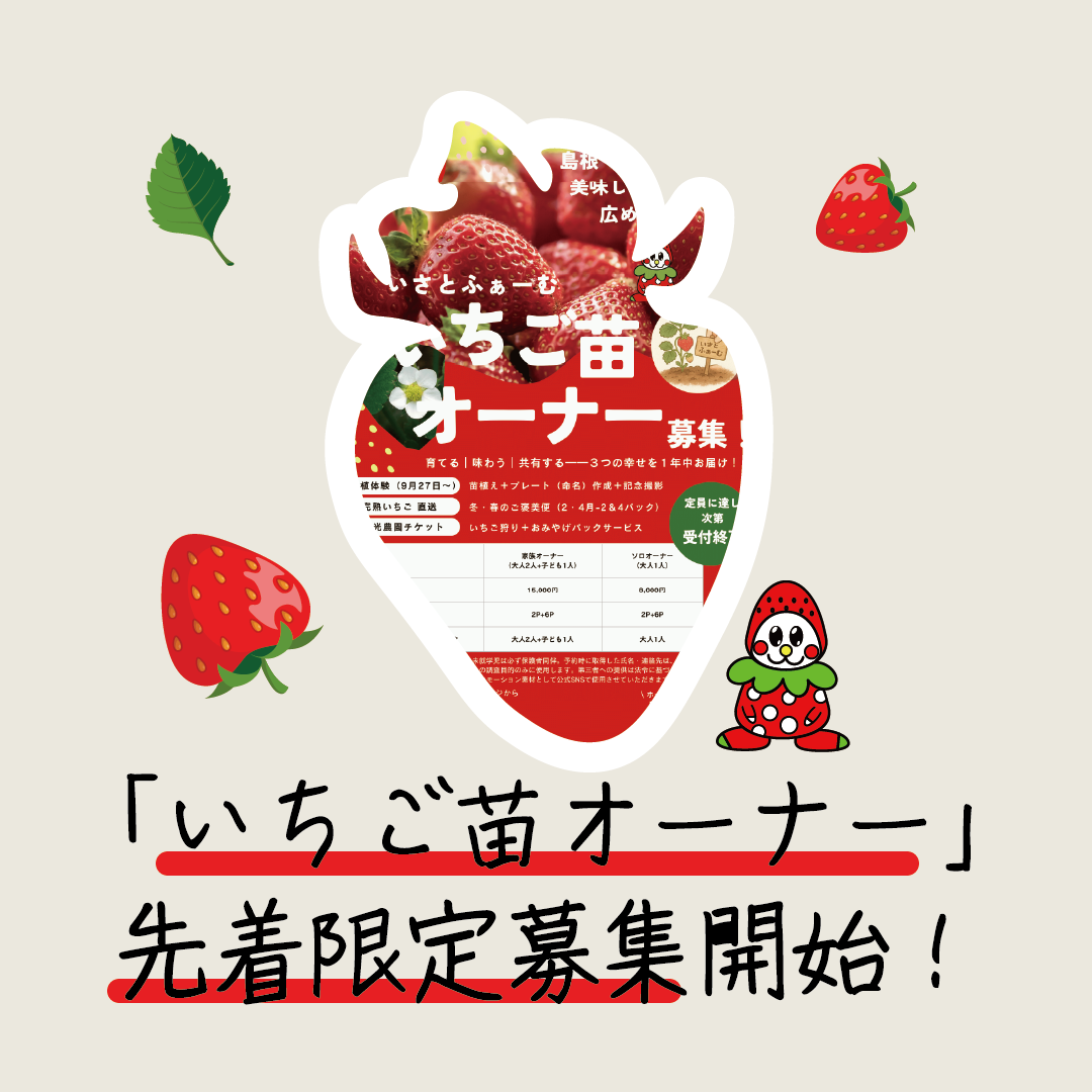 島根・安来・いさとふぁーむ発「いちご苗オーナー」先着50組限定募集