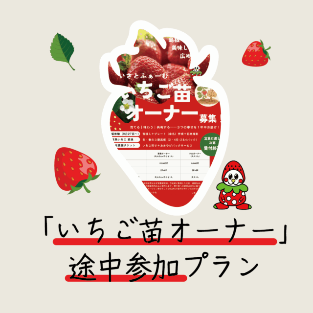🍓 いさとふぁーむ いちご苗オーナー制度 2026 – いちご狩り・直売